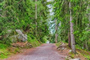 Germonds Road Trail