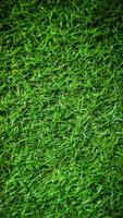 foto vertical de fondo de hierba verde con superposición de desenfoque