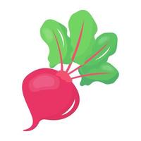 A turnip icon in flat editable design vector