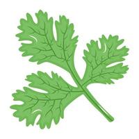 Icon of spinach leaves flat design vector