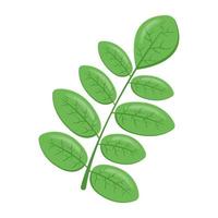 Icon of spinach leaves flat design vector