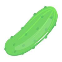 un icono de vector plano de pepino