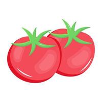 Pair of tomatoes flat icon vector