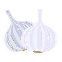 A flat garlic icon design vector