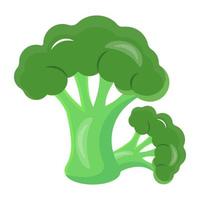 Iron rich vegetable, broccoli icon vector