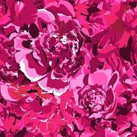 seamless pattern illustration with magenta and pink peonies vector