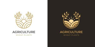 diseño de logotipo de granja agrícola con diseño de símbolo de logotipo de trigo de oro circular, plantilla de logotipo de cultivo de arroz dos versiones vector