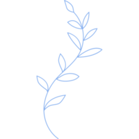 underwater plant. Seaweed png