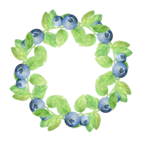 Round frame with blueberries with green leaves. Copy space png