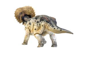 dinossauro, triceratops em fundo isolado png