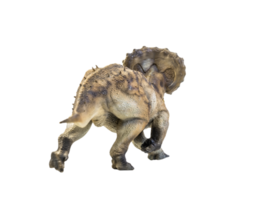 dinosaurio, triceratops sobre fondo aislado png