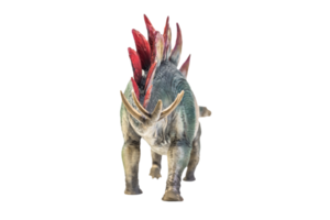 dinosaurus , stegosaurus geïsoleerd achtergrond knipsel pad png