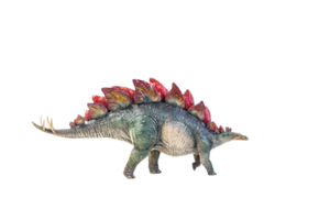 dinosaur , Stegosaurus isolated background  clipping path png