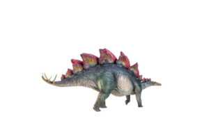 dinosaur , Stegosaurus isolated background  clipping path png