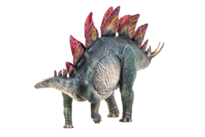 dinossauro, traçado de recorte de fundo isolado estegossauro png