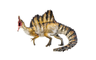 dinosaurus , spinosaurus geïsoleerd achtergrond png