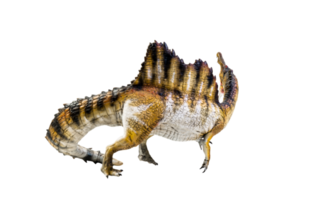 dinosaurus , spinosaurus geïsoleerd achtergrond png