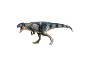 dinosaur , Giganotosaurus on isolated background png
