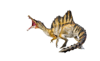 dinosaurio, spinosaurus fondo aislado png