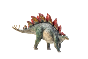 dinossauro, traçado de recorte de fundo isolado estegossauro png