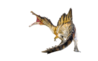 dinosaurio, spinosaurus fondo aislado png