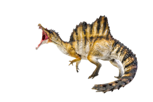 dinosaure, spinosaurus fond isolé png