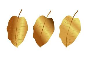 Gold gradient leaves vector