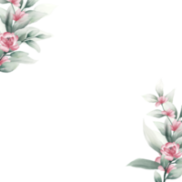 rosa aquarellblumenrahmen png