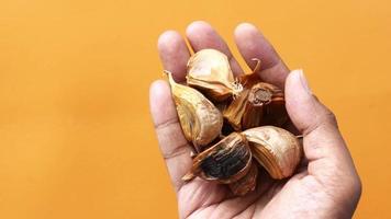 primer plano de ajo negro en la mano video