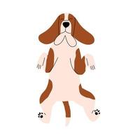 Basset hound dog portrait. The animal sleeps lying on its back. Vector illustration in flat style