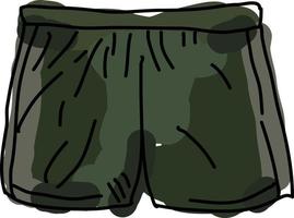 Green shorts, illustration, vector on white background.