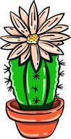 Cactus with flower, illustration, vector on white background