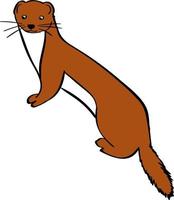 Weasel, illustration, vector on white background.