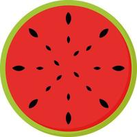 Watermelon, illustration, vector on white background.