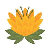 yellow flower icon vector