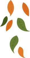 caída de hojas, ilustración, vector sobre fondo blanco.