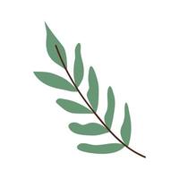 rama con hojas verdes vector