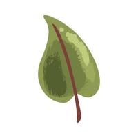 follaje de la planta de hoja vector