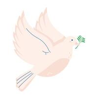 dove with olive branch vector