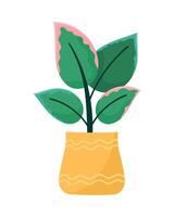 houseplant in yellow pot vector