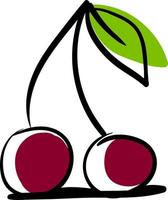 Cherry drawing, illustration, vector on white background.