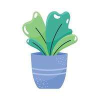 houseplant in blue pot vector