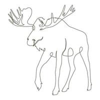 wild moose line drawn vector