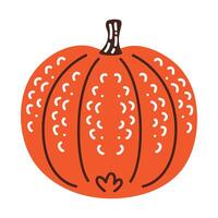 pumpkin vegetable autumn season vector