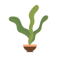 houseplant in pot vector