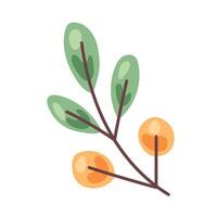 branch with leafs and seeds vector