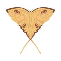 Flat Butterfly animal vector