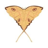 Flat Butterfly animal vector