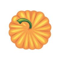 icono de vegetales de calabaza vector