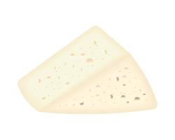 feta cheese realistic icon vector